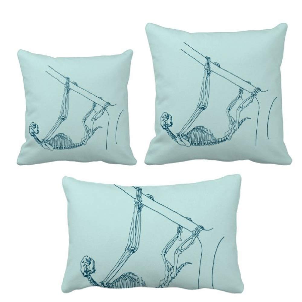 Paresseux squelette coussin decoratif de canape style ins sketch