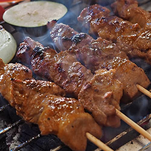 牛串焼き 牛ブリスケ串 トルコレッド ケバブ 50本 BBQ バーベキュー 惣菜 おつまみ 家飲み 肉 ギフト 生 チルド