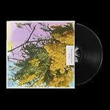 Xl Recordings