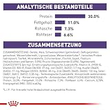 Royal Canin Expert Neutered Adult Small Dogs | 1,5 kg | Pełnoporcjowa karma dla wykastrowanych dorosłych psów małych ras | W celu utrzymania optymalnej masy ciała