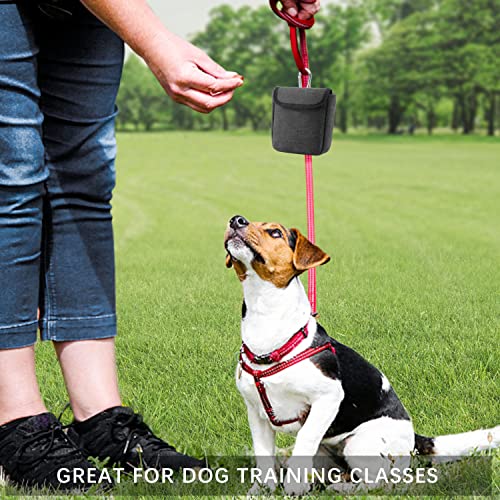 AEMIAO Hunde Leckerlitasche Klein mit Magnetverschluss, Kleiner Snackbeutel Hund Futterbeutel Hundetraining Kleine Leckerlibeutel für Hunde mit Karabiner