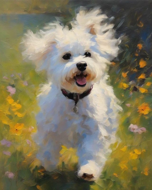 ZMHZMY Paint by Numbers Kit for Adults,Bichon Frise on Grass,Paintings for Home Toys and Games,40x50cm Without Frame
