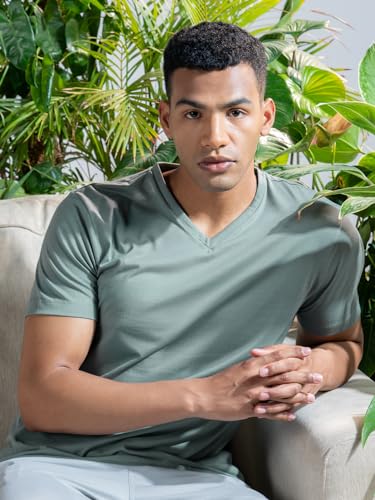 Image of DAMENSCH Regular Fit Cotton Blend Tshirt Half Sleeve Crew Neck Comfortable Casual Lightweight Premium Vortex Elemental Breeeze Tshirts for Men Pack of 1