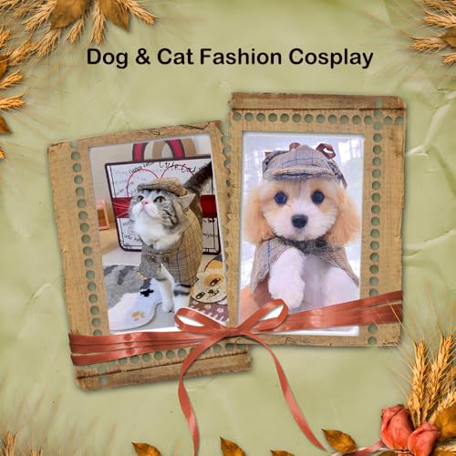 Disfraz detective para perro pequeño con capa y sombrero miniatura 4
