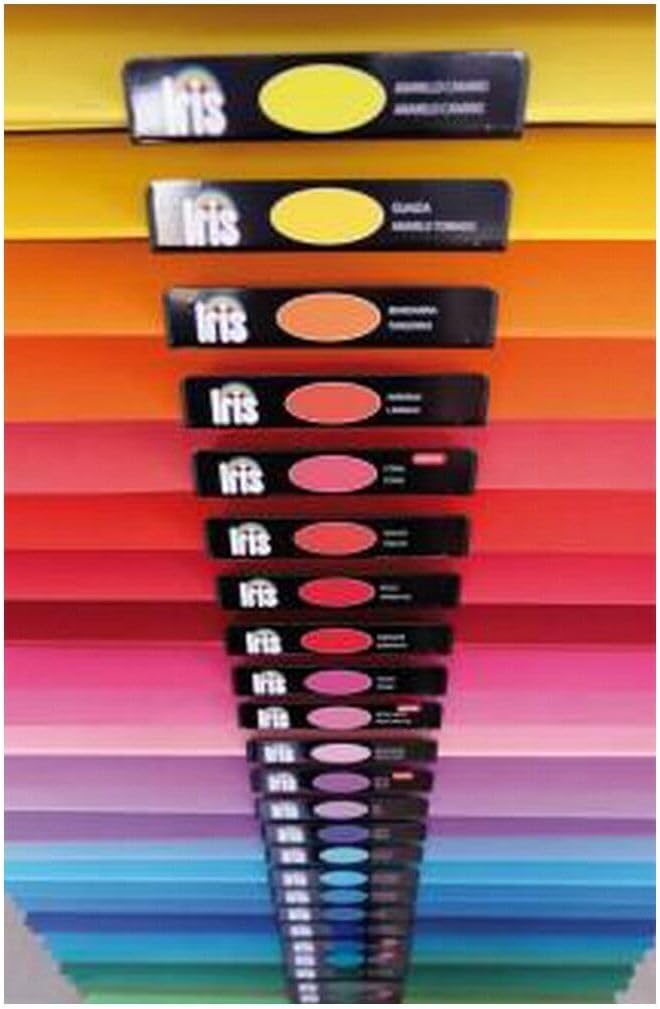 Canson 200040231-25 Sheets of Cardstock, 50 x 65 cm, 185 g, Purple