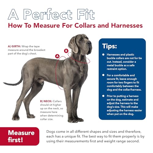 Coastal Pet Comfort Soft Wrap Adjustable Dog Harness - Comfortable Harness for Dog - Adjustable Fit - Easy Step-in Design - Breathable Fabric Mesh - Lime, 5/8" x 16"-19" - Thumbnail 7