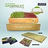 ZESTIGREENS Self Watering Microgreens Growing Kit. Hands Down The Easiest Way to Grow Microgreens. Includes Tray, Seeds, Mats, and Bamboo Surround. Great Gift for Gardeners #1