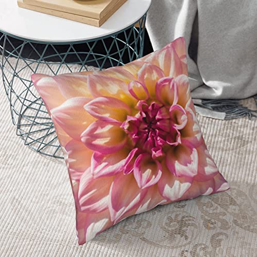 Housse de coussin en velours côtelé pour protéger et embellir vos vieux coussins