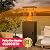 Pamapic Patio heater, 41,000 BTU Propane Outdoor Heater with Lockable Wheels, CSA Certificated Patio Heater with Cover for Patio, Backyard, Balcony (Ink)