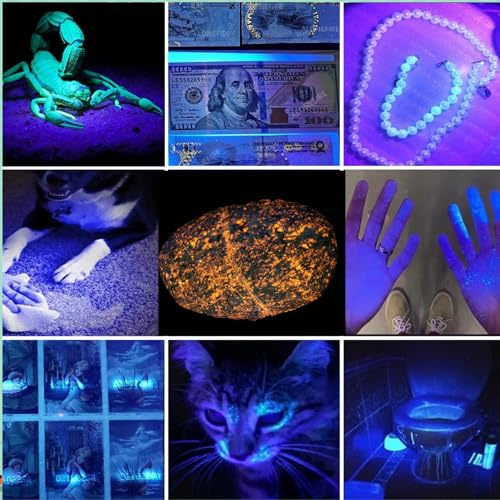 UV Flashlight Rechargeable 365nm Black Light for Pet Urine Detection,Small Ultraviolet Flashlight for Resin Curing,Rocks and Minerals,High Definition Pure Ultraviolet(Battery Included)