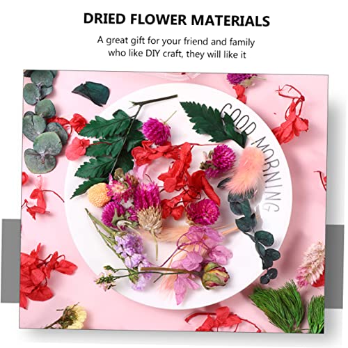 Flores secas naturales decorativas para manualidades DIY miniatura 4