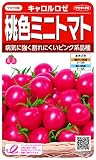 ｻｶﾀのﾀﾈ すずなりﾐﾆﾄﾏﾄﾋﾟﾝｸｷｬﾛﾙﾛｾﾞ実咲野菜0106：002825
