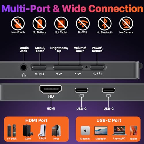 Portable Monitor for Laptop 17.3 Inch