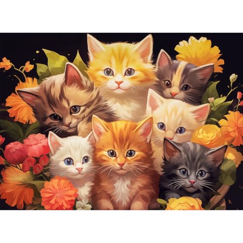 i5238cmjCHengQiSM WO\[pY 500s[X lRƉ pY 500s[X L lR [pY  G  CeA v[g