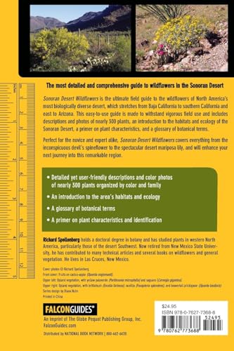 Sonoran Desert Wildflowers: A Guide To Common Plants (Wildflower Series) - Image 2