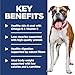 Hill's Science Diet Light , Adult 1-6, Weight Management Support, Dry Dog Food, Chicken & Barley, 30 lb Bag