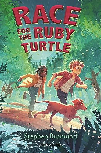 Race For The Ruby Turtle view 2