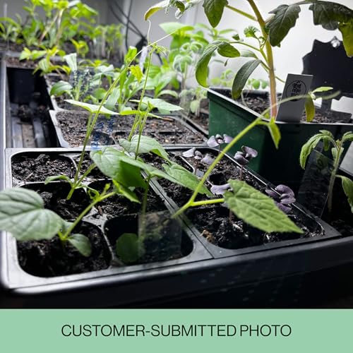 The Hydroponic City Seed Starter Trays, 216-Cell Seedling Starter Trays (36 Trays - 6 Cells Each) + Plant Stakes - Image 5