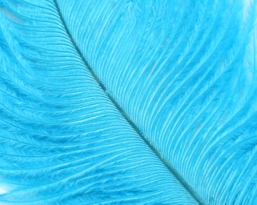Hareline Fly Tying Ostrich Marabou Feathers for Streamers, Nymphs, and Tails