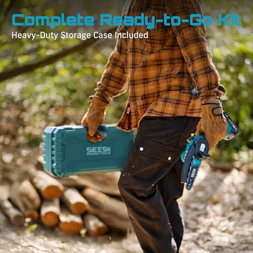 Seesii CH600+ cordless chainsaw review