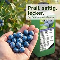 Heidelbeeren-Dünger HIGH-TECH Vaccinium NPK Düngemittel für Blaubeeren und Kulturheidelbeeren, Beet und Kübel Pflanzen düngen – Ansicht 3
