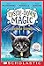Sticks & Stones (Upside-Down Magic #2)