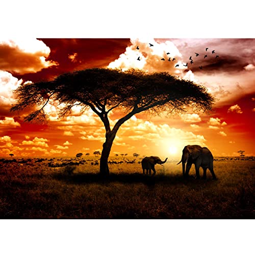Runa Art Fototapete Afrika Elefanten Modern Vlies Wohnzimmer Schlafzimmer Flur - made in Germany - Braun Orange 9110010a