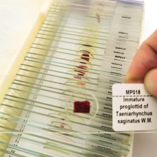 Student Medical parasitology Slides 50 Kinds Microscope Prepared Parasitology Slides