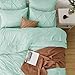 Bedsure Queen Comforter Set Mint Green - Bed in a Bag Queen Size Bedding 7 Pieces, GentleSoft™ Pintuck Bed Set Gift for Family, Pinch Pleat All Season Comforter with Sheets, Pillowcases & Shams