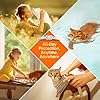 Natural Flea and Tick Collar for Cats – 4 Pack, 8 Months Long-Lasting Protection, Waterproof, Adjustable Size for Kittens and Adult Cats #3