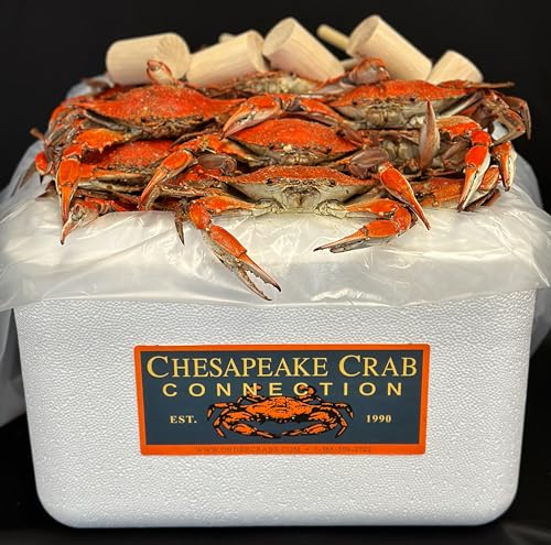 Chesapeake Crab Connection - Fresh Blue Crabs - 1/2 Bushel 'Bay' Male Mix (Measuring 5' - 5.5' Point...