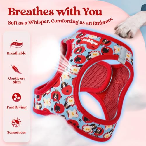 Image of rabbitgoo Dog Harness Medium Sized and Leash Set, Step-in Puppy Pet Vest