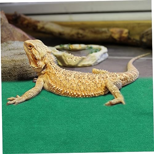 COLLBATH Reptile Pad para Tortugas, Lagartos y Arañas miniatura 6