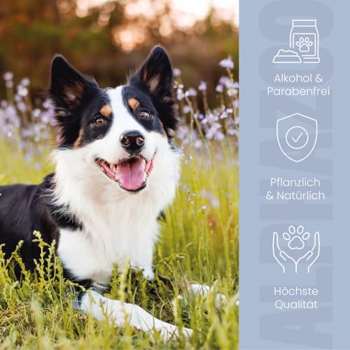 alphazoo Brandlöscher Anti-Juckreiz-Spray für Hunde 250 ml – mit Kamille & Ringelblume. Pflegendes Spray, Alkohol- & parabenfrei, zur Unterstützung empfindlicher Haut & zur Linderung von Irritationen