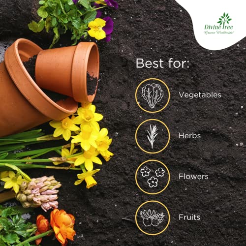 Image of DIVINE TREE Organic Choice Potting Soil Mix 10KG | Ready to Use Potting Soil & Soil Mix for Plants | Cocopeat Red Soil Cow Manure Blend | for Indoor Plants, Outdoor Pots, Vegetables & Home Gardening