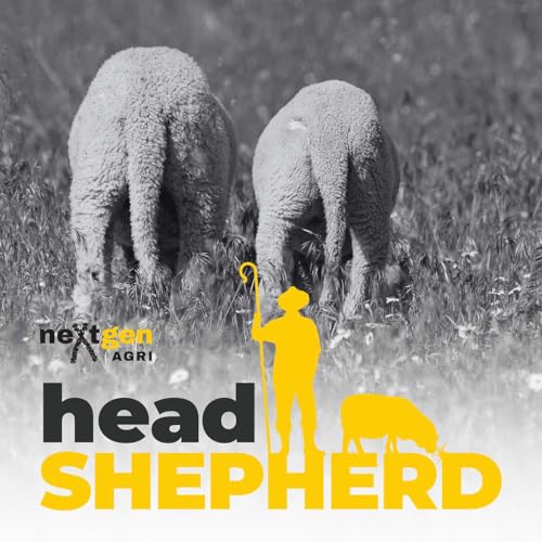 How Do You Breed Short-Tailed Sheep? with Marnie Hodge