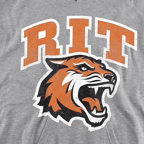 LOGOVISION Rochester Institute of Technology RIT Official Tigers Logo Youth Kids Boy/Girls Pull-Over Hoodie2