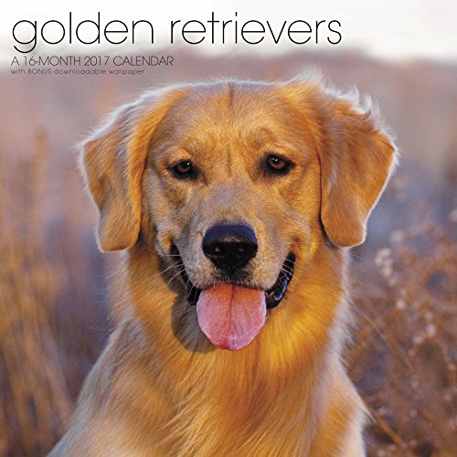 Golden Retrievers 2017 Calendar: Includes Downloadable Wallpaper