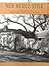 New Mexico Style: A Sourcebook of Traditional Architectural Details