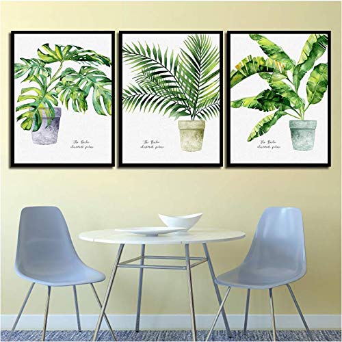 Art mural affiches et impressions sur toile paysage plantes vertes tableau salon 50x70cm