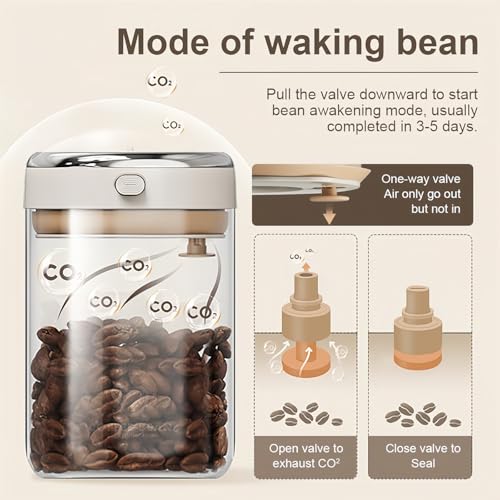 Contenedor de vidrio con sello al vacío para café miniatura 4