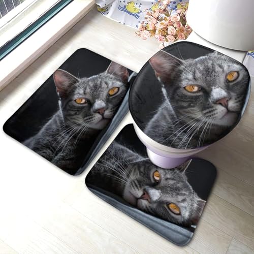 gC}bg Zbg 3_   ˂ L }bg gCWJo[ U^ O^ gC}bg Zbg ~ z  h ֊ӂJo[ ƒp zep