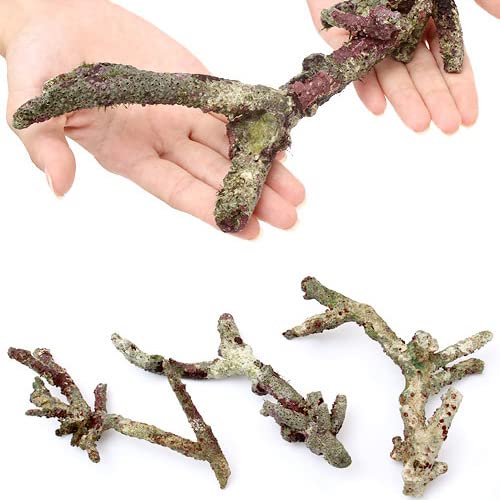 iCj`O[hCubN }lTCYiPji`󂨔Cj