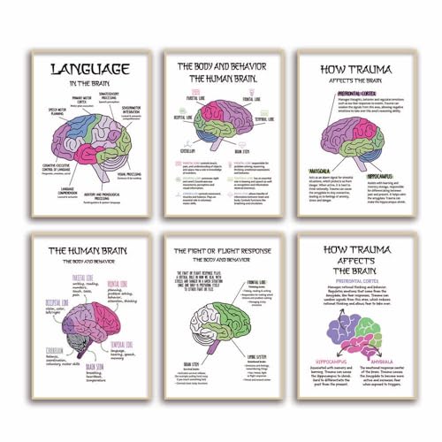 DQYZNYC Mental Health Posters Brain Art Poster Counselor Therapy Office