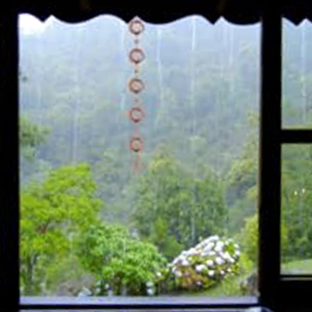 View 6