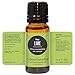 Edens Garden Lime- Key Essential Oil- 100% Pure Premium Grade, Undiluted, Natural, Therapeutic, Aromatherapy, The Best for Diffuser, Candle, Laundry, Humidifiers 10 ml (.33 fl oz)