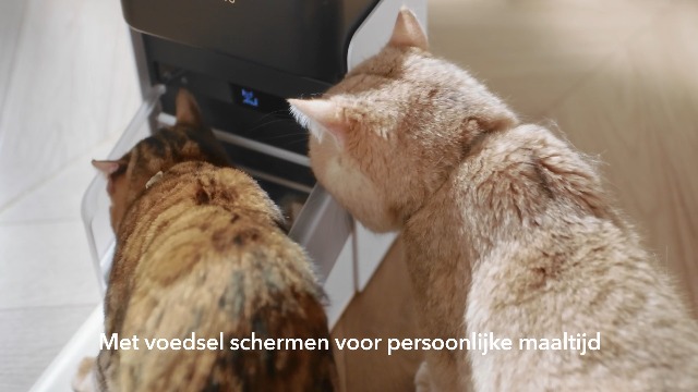 PETLIBRO RFID voederautomaat voor katten, 5G wifi, automatische