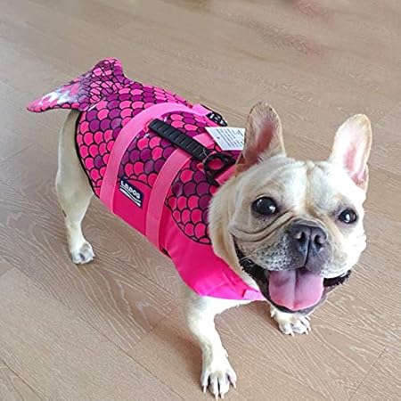 frenchie life vest
