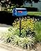 Architectural Mailboxes 7600BE MB1 Mailbox, Medium, Blue