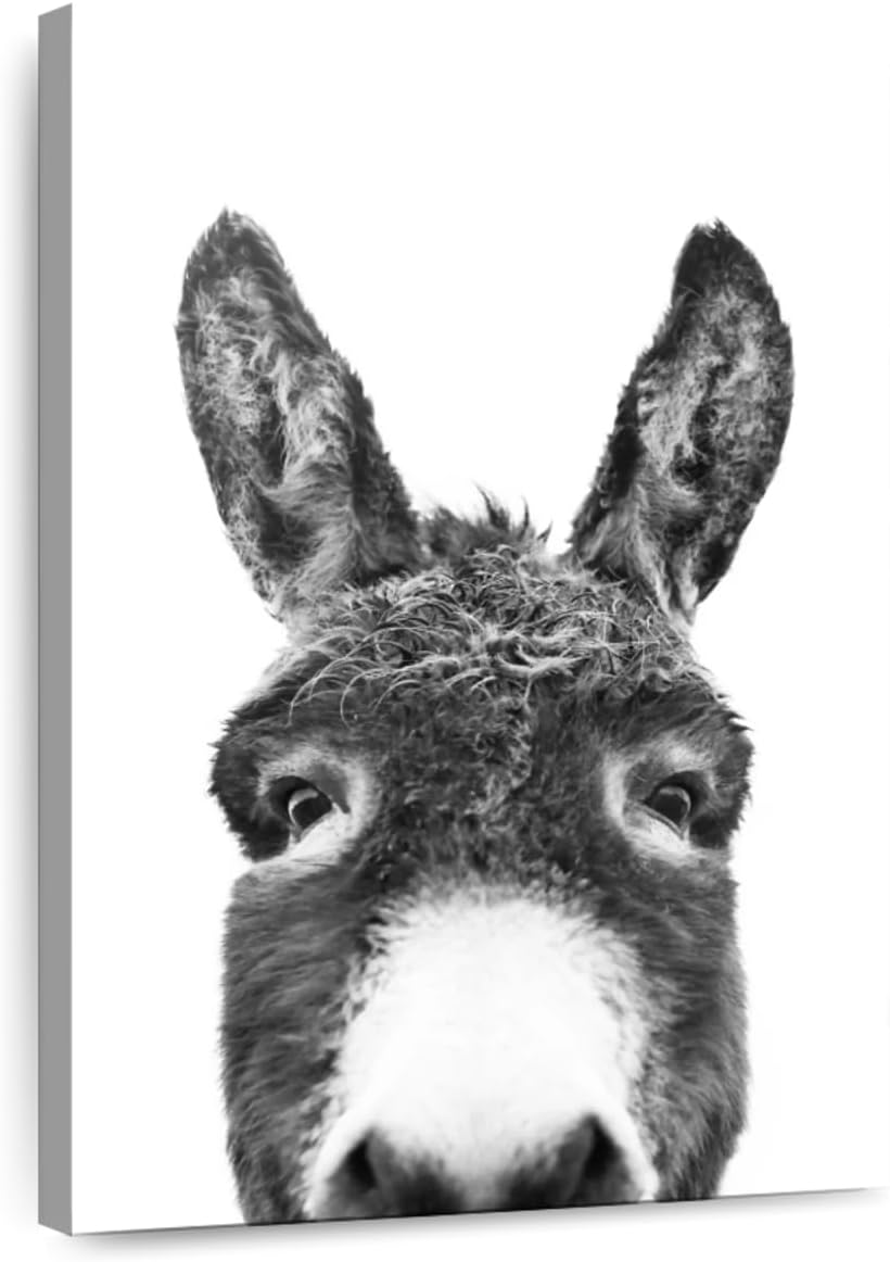ElephantStock - Peeking Donkey In Black And White Wall Art - Vertical Canvas Wall Art - Living Room Wall Decor - Photography Donkey Canvas Art - Black & Gray Decor by Sisi And Seb - 20" x 30"